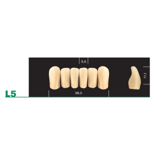 Major Plus Inferiore Anteriore Moulds - Art. MP-L5