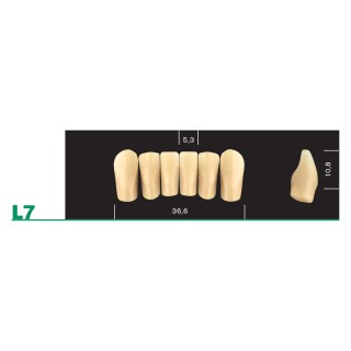 98x20mm - Multilayer PMMA Block - 3s Dental