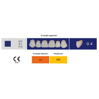 Eray Deluxe 1 Bocca (28 denti, 4 file) - Art. G4-K8-M5