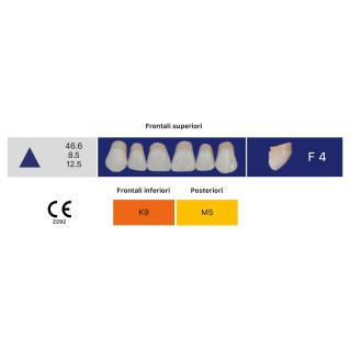 Eray Deluxe 1 Bocca (28 denti, 4 file) - Art. F4-K9-M5