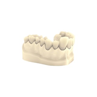 3S Dental Easy Model 8k - 1 kg