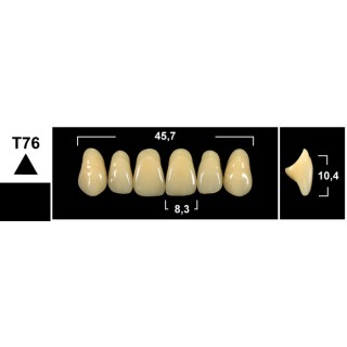 Tribos 501 T76 Superiore Anteriore