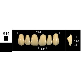 98x20mm - Multilayer PMMA Block - 3s Dental