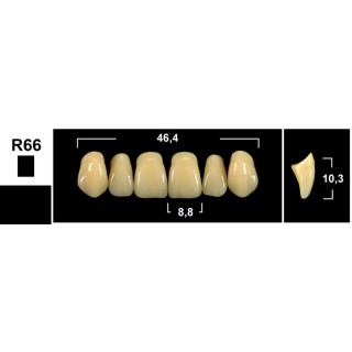 Tribos 501 R66 Superiore...