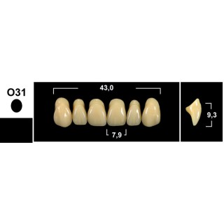 98x20mm - Multilayer PMMA Block - 3s Dental