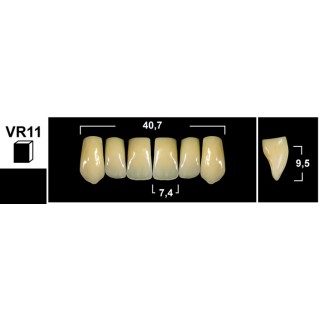 Tribos 501 VR11 Superiore Anteriore