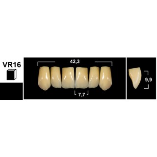 Tribos 501 VR16 Superiore Anteriore