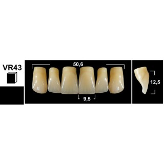 Tribos 501 VR43 Superiore Anteriore