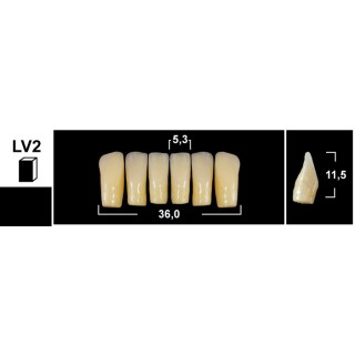 98x20mm - Multilayer PMMA Block - 3s Dental