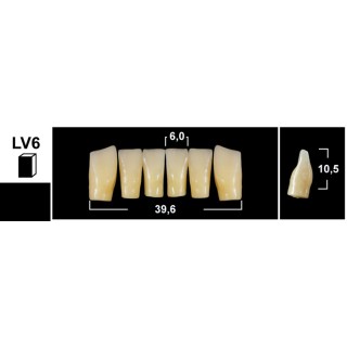 98x20mm - Multilayer PMMA Block - 3s Dental