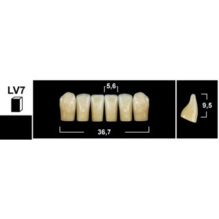 98x20mm - Multilayer PMMA Block - 3s Dental