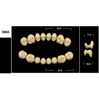 Tribos 501 SMA Superiore Morfologia Secondaria Abrasa