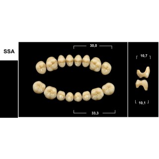 Tribos 501 SSA Inferiore Morfologia Secondaria Abrasa