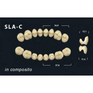 Tribos 501 c SLA Superiore Morfologia Secondaria Abrasa in composito