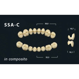 Tribos 501 c SSA Superiore Morfologia Secondaria Abrasa in composito