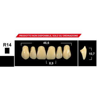 Tribos 501 R14 Superiore...