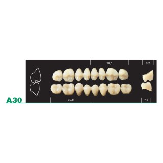 98x20mm - Multilayer PMMA Block - 3s Dental