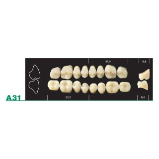 98x20mm - Multilayer PMMA Block - 3s Dental