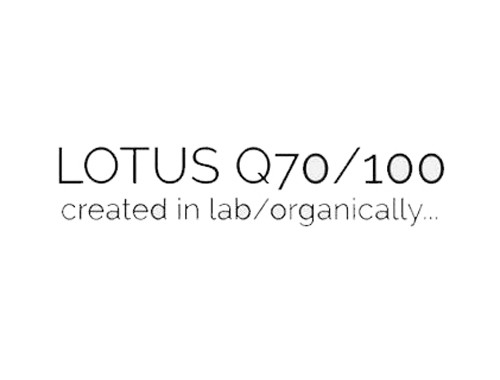 LOTUS Q70/100